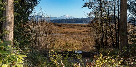 Mount St. Helens Visitor Center - Our Big Little Adventures