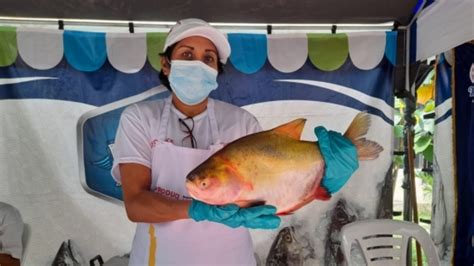 Produce Anuncia Lanzamiento De Programa A Comer Pescado Noticias