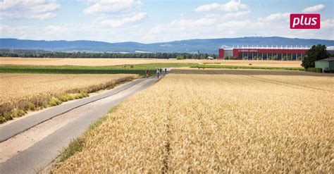 Ihk Rheinhessen Will Drei Neue Gewerbegebiete