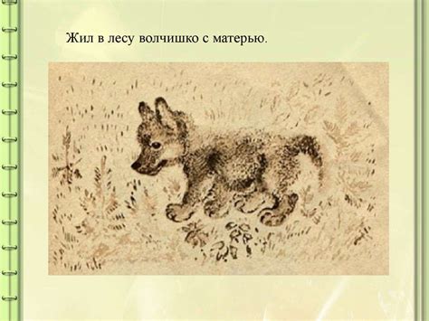 Волшебный мир зверей и птиц Евгения Чарушина - презентация онлайн