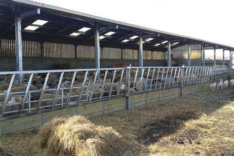 Steel Buildings For Lambing And Sheep Farming Fowler And Gilbert