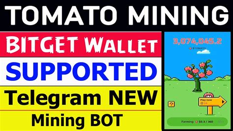 Tomato Mining App Bitget Supported New Telegram Mining Bot Youtube