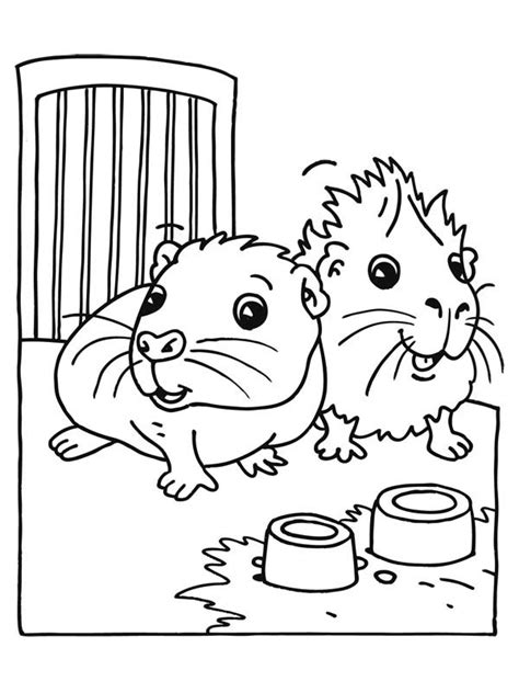 Guinea Pig Colouring Sheets