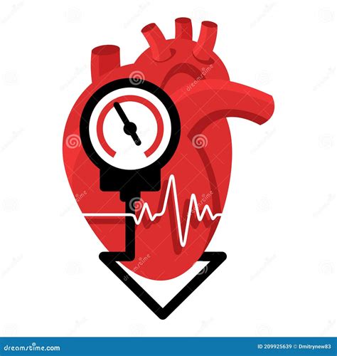 Disminuci N De La Presi N Arterial Con El Coraz N Y Medida Ilustraci N