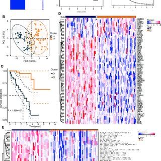 Identification Of Hypoxia Related Subtypes Of UM A Consensus