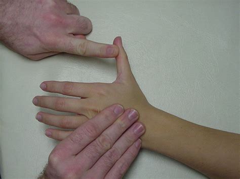 Manual Muscle Testing Of The Wrist Off