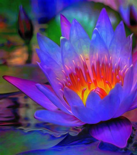 Blue Lotus By Fli Art With Images Blue Lotus Flower Lotus Art