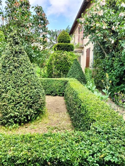 Rendez vous aux jardins 2024 Jardin À l ombre de la ville Limoges