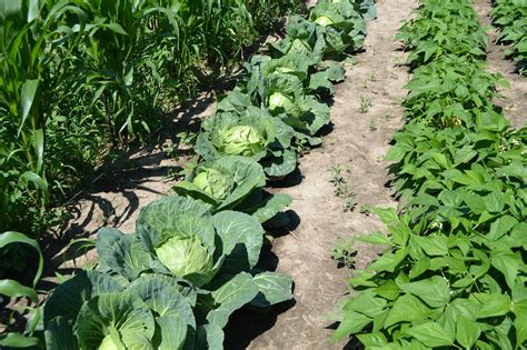 Stone Point Park Community Gardens | Winona County, MN