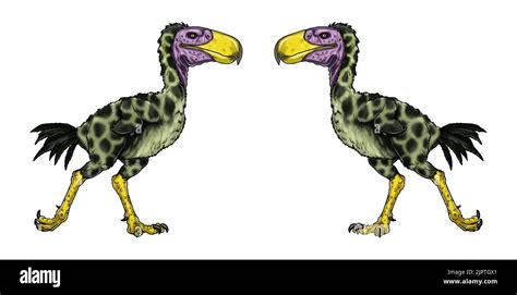 Prehistoric Birds Of Prey Kelenken Titanis And Gastornis Drawing