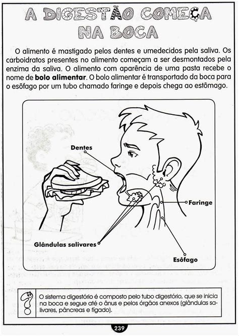 Educa X Atividades De Ciências 5 Ano Sistema Digestório