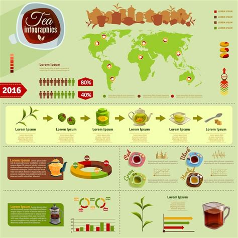 Tea Infographics Free Vector Templates For Download Hd Stock Images