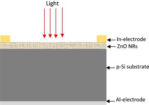 Schematic Diagram Of N Zno Nrs P Si Heterojunction Photodetector Download Scientific Diagram