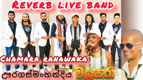 මලසර චමර රනවක MALSARA CHAMARA RANAWAKA WITH REVERB LIVE BAND