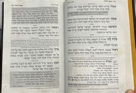 The Case Of The Tired Shliach Tzibbur For Mincha 17th Of Tammuz The