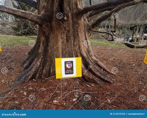 Do Not Climb Trees Sign And Tree Outdoor Stock Image Image Of Nature