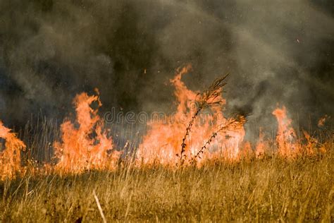 Fire And Smoke Dry Grass Burns On A Hillside Hot Autumn Stock Photo