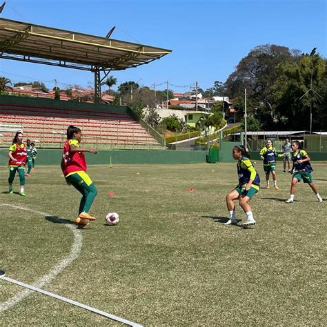 Palmeirasn Tico On Twitter Rt Palmeiras Fem Avantipalestrinas