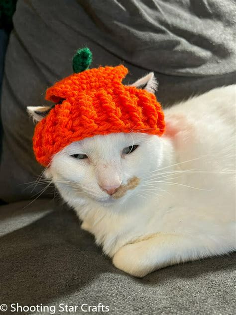 Crochet Pumpkin Hat for Cats - Shooting Star Crafts