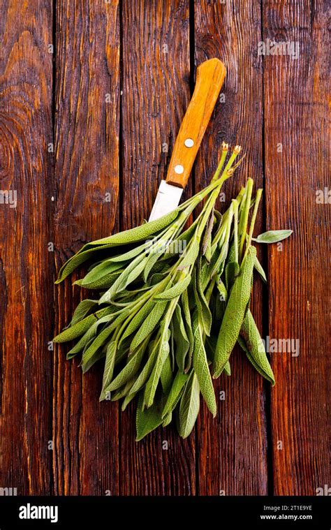 Salvia Officinalis Sage Leaves On Old Wooden Table Garden Sage Stock