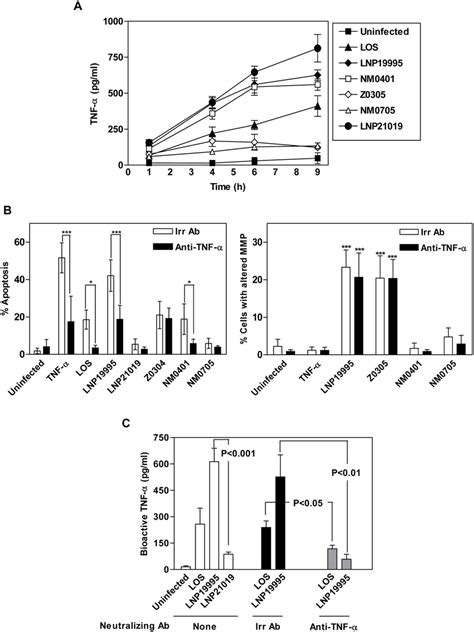 Analysis Of Tnf α Secretion And Bioactivity A Quantitation Of Tnf α