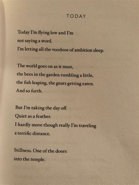 Mary Oliver Today Cool Words Wise Words Words Of Wisdom Poem Quotes