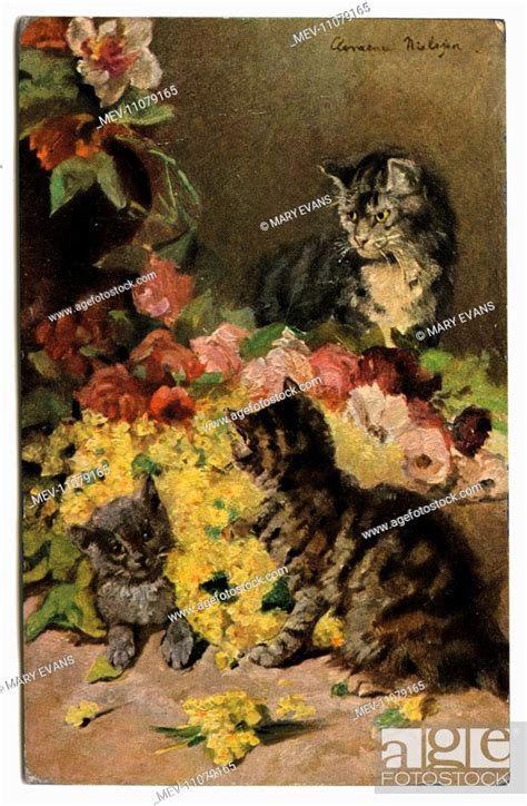 Cats and flowers on a postcard, Stock Photo, Picture And Rights Managed Image. Pic. MEV-11079165 ...