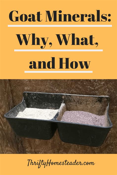 Goat Minerals: Why, What, and How