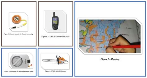 Identify Use Of Materials And Building In Forest Engineering