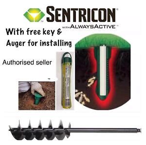 X Sentricon Termite Inground Bait Station Bait Rod With Auger For