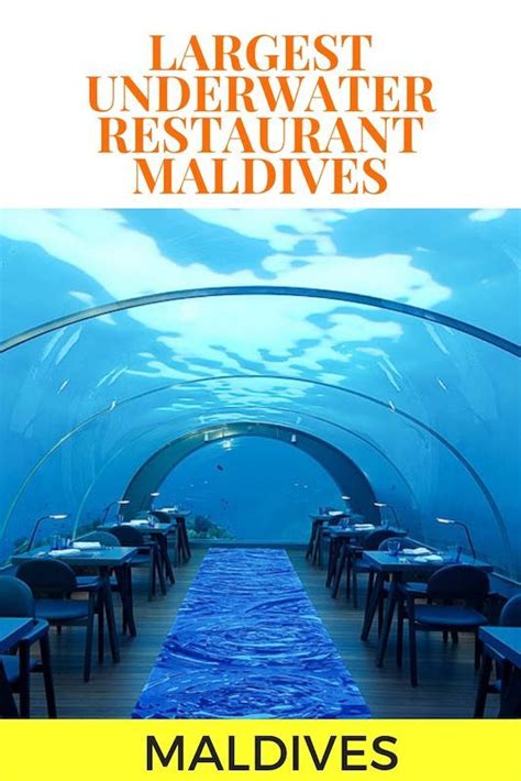 5.8 Restaurant Review - An Underwater Restaurant In The Maldives ...