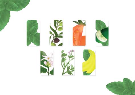 ILYS - Branding Identity on Behance