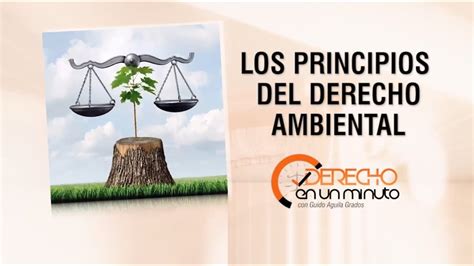 Los Principios Del Derecho Ambiental De M Youtube