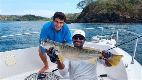 Técnicas De Pesca Para Ser Un Profesional Pesca En Panama