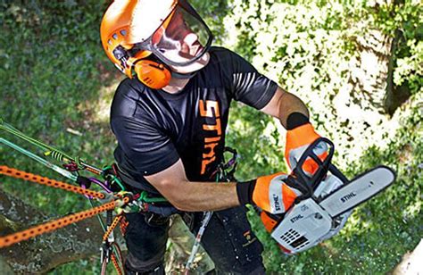 Stihl Ms201tc M 24hp 14 Arborist Chainsaw Stihl Top Handle