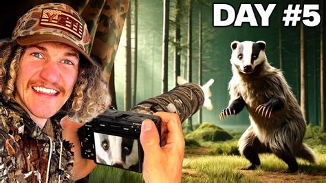 Day Of Being A Wildlife Photographer Badger Photography Youtube