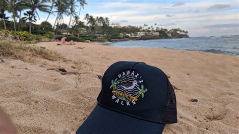 Kapiolani Park Beach, Honolulu - Book Tickets & Tours | GetYourGuide