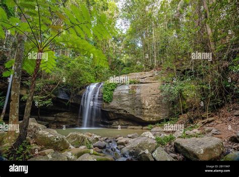 Buderim Forest Serenity Falls Hi Res Stock Photography And Images Alamy