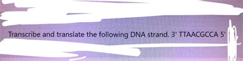 Solved Transcribe And Translate The Following DNA Strand 3 Chegg