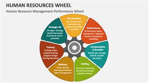 Human Resources Wheel PowerPoint And Google Slides Template PPT Slides