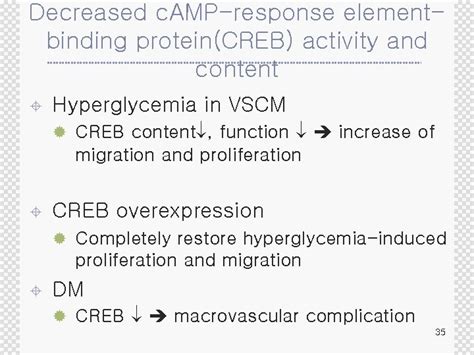 Biochemistry And Molecular Cell Biology Of Diabetic Complications