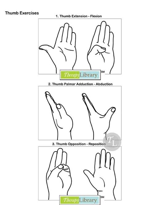 Figure Range-of-motion Exercises For The Basic Patient , 58% OFF