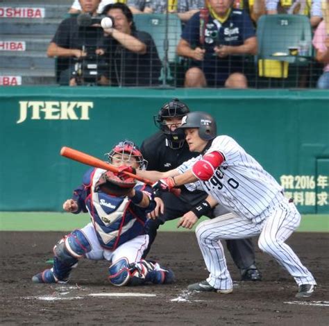 ＜神・ヤ＞6回1死満塁、初球スクイズを試みた大和（右）だが失敗 ― スポニチ Sponichi Annex 野球