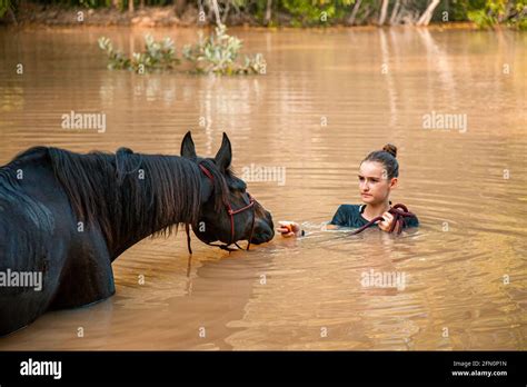 Horse Swimming In Water Stock Photo Alamy