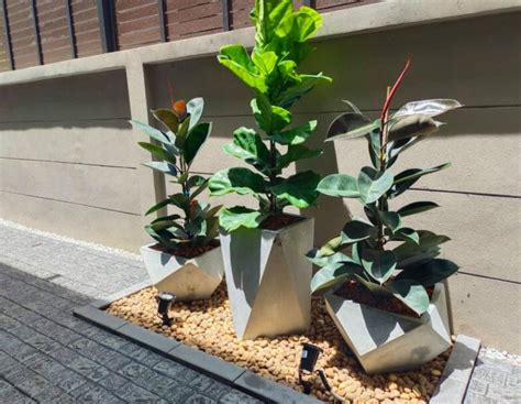 16 ideas of concrete planters to beautify the exterior of your house – Crafty Daily