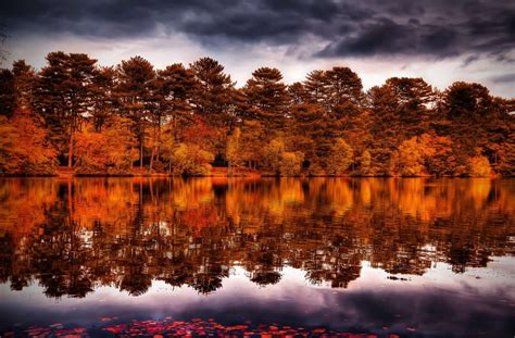 Bosque de otoño junto al lago - rompecabezas en línea