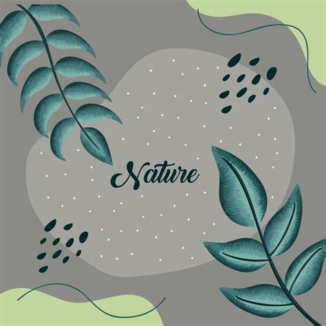 nature lettering in frame 11092224 Vector Art at Vecteezy