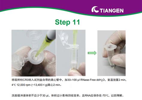 动物组织总 RNA 提取试剂盒操作指南DP431 动物组织 丁香实验