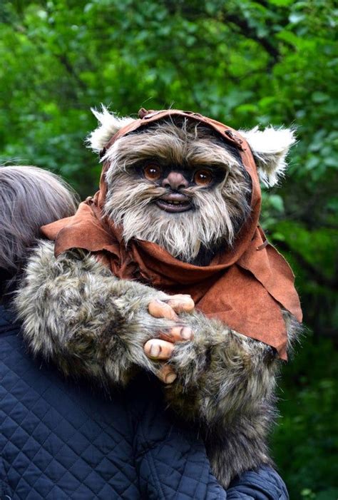 Ewok Ewok Ewoks Star Wars Star Citizen