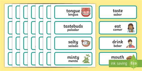 Taste Word Cards English Spanish Professor Feito Twinkl